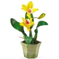 thumbnail image 2 of Mélange d'Orchidées en Pot (Lot de 3), 2 of 4