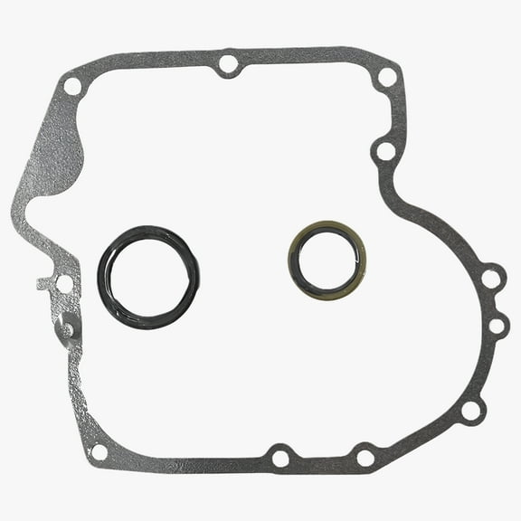 New Crankcase Gasket and Oil Seal Combo Gasket Set Fit for Briggs & Stratton 697110 795387