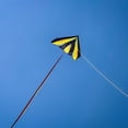 thumbnail image 4 of In the Breeze 3073 — 4' Tie Dye Delta Kite — Easy Flying, Single Line Kite for All Ages, 4 of 4