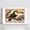 ToucanC-2, variant on Vintage Toucan Canvas Wall Art, Retro Tropical Bird Print Wall Decor, Rustic Jungle Toucan Poster for Living Room Bedroom Kitchen Farmhouse Home Decoration