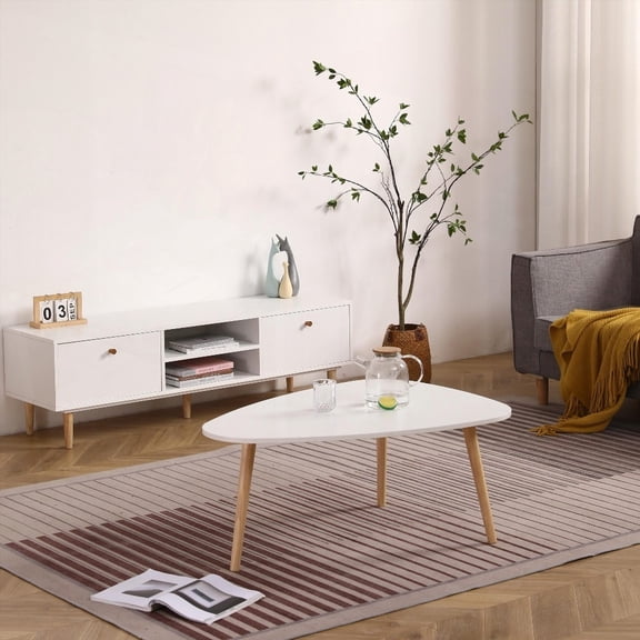 Modern Egg Shape Coffee Table-950: Elevate Living Room Style