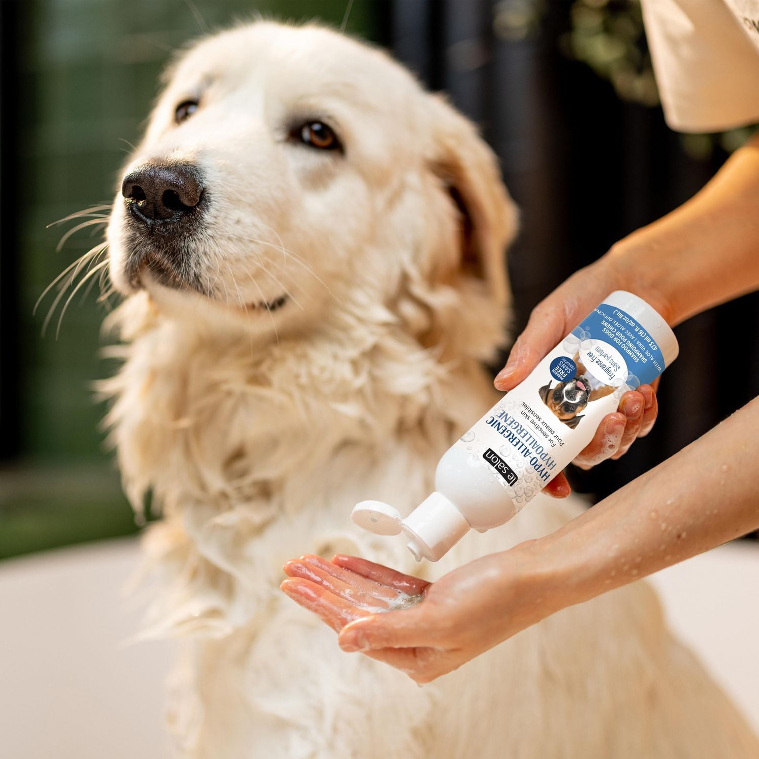 Shampoing hypoallergène Le Salon pour chiens, sans parfum, 473 ml (16 oz)