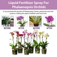 thumbnail image 5 of Home Gardening Fertilizer Spray Promotes Healthier Leaf Growth 100ml, 5 of 6