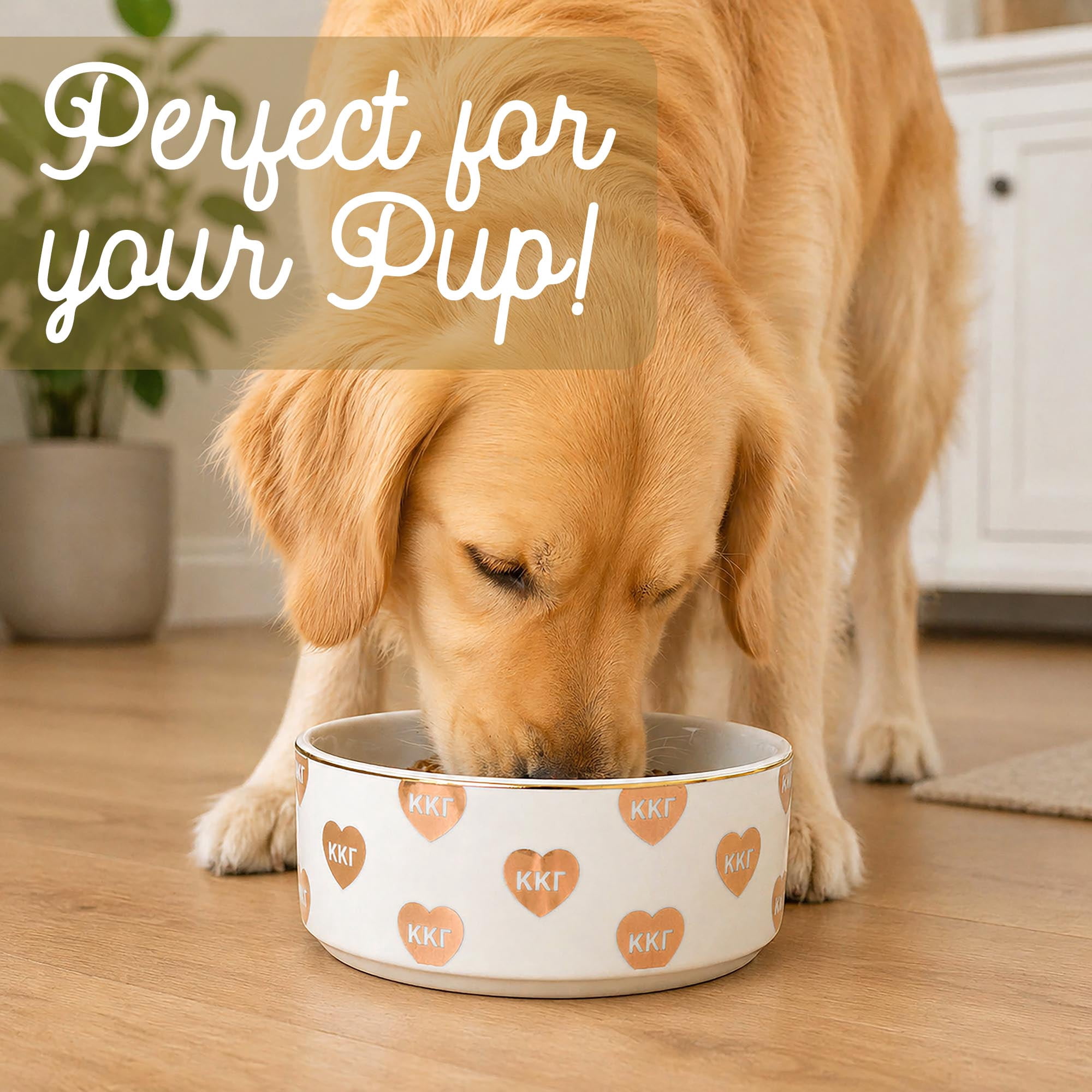 Sorority Shop Kappa Kappa Gamma Pet Bowl, 6" Ceramic Bowl for Dogs and Cats, Heart Design with Sorority Greek Letters, Use for Food or Water