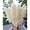 40inch-15pcs Beige, variant on 15pcs 40''Dried Pampas Grass Decor Tall-Large pompas Grass-Natural Beige Tall Pampas Grass for Floor Vase,Wedding,Party,Farmhouse,Living Room Floor, Home Decor