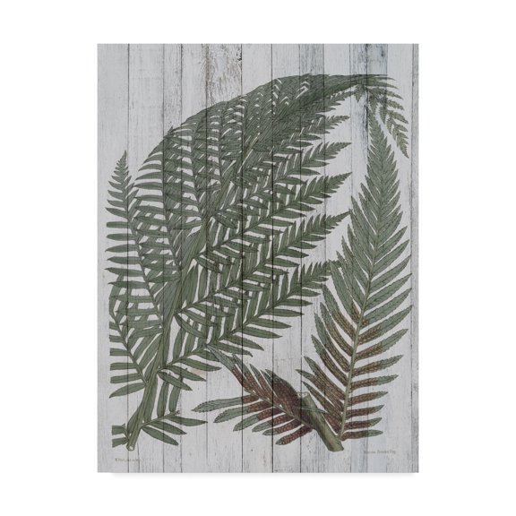 Trademark Fine Art 'Rustic Greenery I' Canvas Art by Studio W