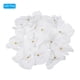 thumbnail image 3 of Uxcell 3.5" Cabezas de Orquídea Phalaenopsis de Seda Artificial para Decoración de Bodas DIY, Blanco Puro, Paquete de 20, 3 of 6