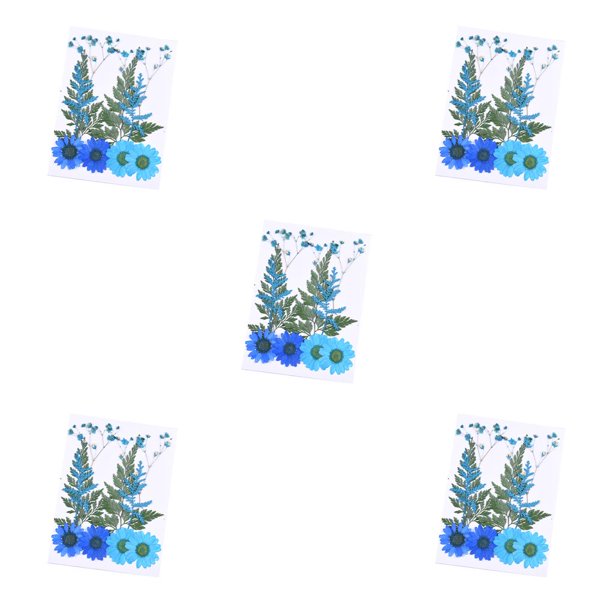 Toystoory Flores secas, flores prensadas, decoraciones de , accesorios de bricolaje, suministros para álbumes de recortes, artículos para el juego de flores azules 5Conjunto