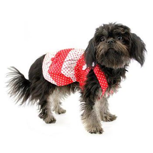 Klippo KDR057-S Polka Dot Dog Sundress&44; Rouge & Blanc - Petit