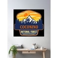 thumbnail image 2 of Coconino National Forest Poster Wall Art, Modern Wall Decor, 24x36 UNFRAMED, 2 of 3