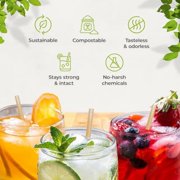 Bionex Biodegradable 8-Inch Unwrapped Sugarcane Drinking Straws, Disposable Plastic and Paper Straw Alternative, 2,000 Count