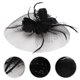 thumbnail image 1 of Nestingho 1Ud Accesorio De En Malla Con Y Plumas Para, 1 of 8