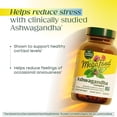 thumbnail image 4 of MegaFood Ashwagandha Complex (Formerly Stress Protect) - Cortisol Support - 30 Servings, 4 of 10