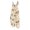 Khaki, variant on Women's Halloween Overalls Spiderweb Ghost Sleeveless Backless Horror Overalls Pumpkin Skeleton Halter Funny Jumpsuits, 5XL