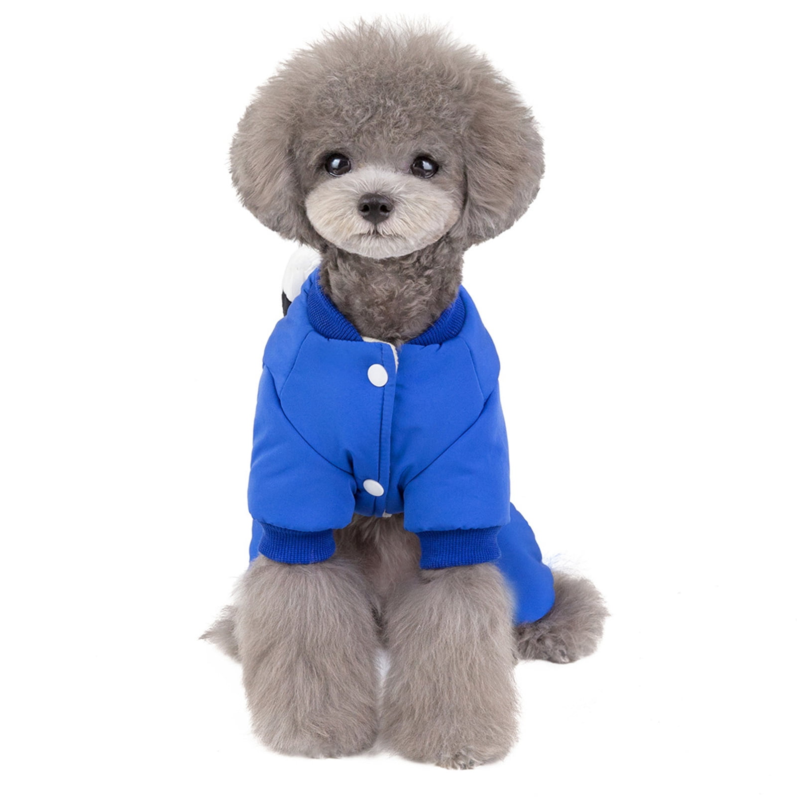 Are Cats Supposed Pant Like Dogs