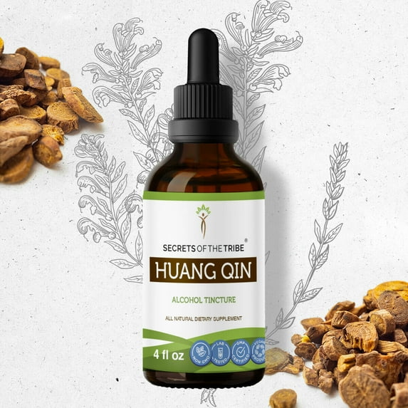 Huang Qin Tincture Alcohol Extract, Wildcrafted Huang Qin Scutellaria Root, Radix Scutellariae Baicalensis Traditionally used to Remove Heat in the Body 4 oz