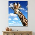thumbnail image 2 of Designart ' A Giraffe On A Blue Sky Portrait ' Farmhouse Canvas Wall Art Print, 2 of 4