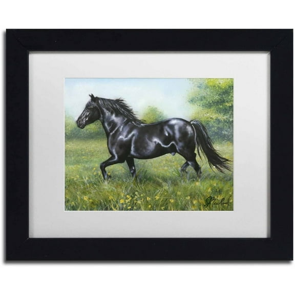 Trademark Fine Art 'Free Spirit' Canvas Art by Jenny Newland, White Matte, Black Frame