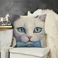 thumbnail image 2 of SHANXI Throw Pillow Covers &nbsp; Pillow Cases&nbsp;Animal Kitty Decorative Pillow Cover Home Sofa Cushion Cover Pillowcase for Couch Bed 20x20in, 2 of 5