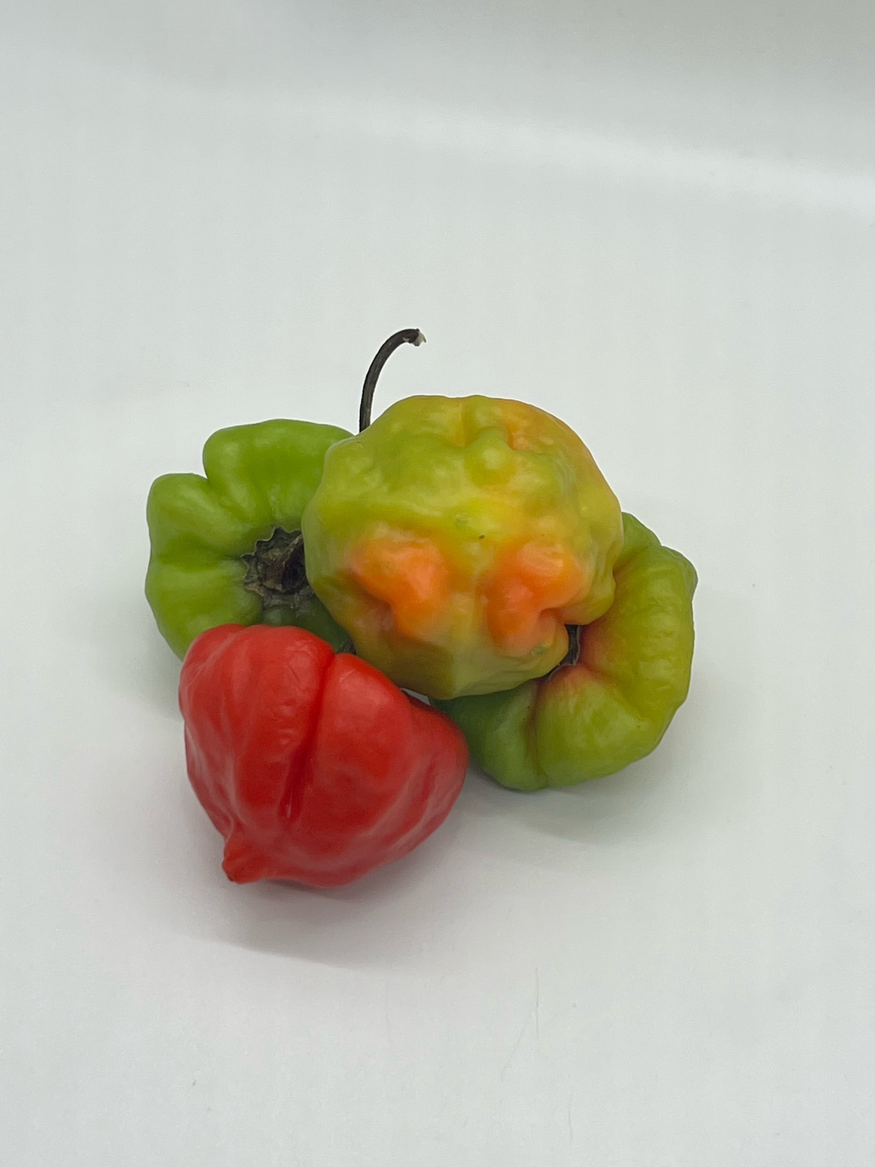 Fresh Cachucha Peppers, 4 oz