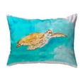 thumbnail image 2 of Betsy Drake KS156 11 x 14 in. Brown Sea Turtle Small No-Cord Pillow, 2 of 2
