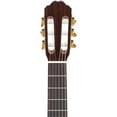 thumbnail image 5 of Kremona R65CWC Rondo Left-Handed Acoustic-Electric Classical Guitar Natural, 5 of 5