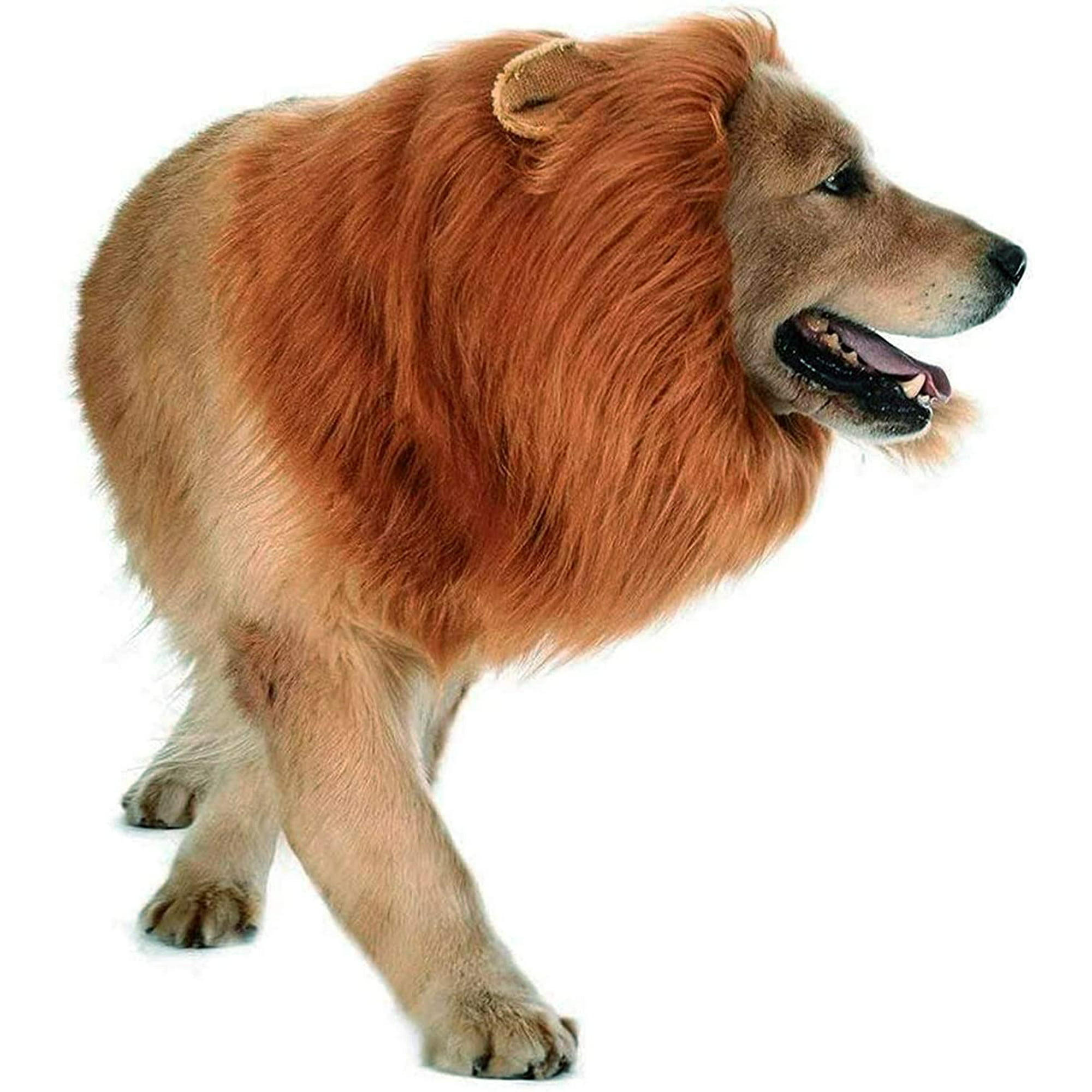 Dog Lion Mane,Pet Cat Lion Mane Wig Costumes with Ears,Adjustable Fancy Lion  Hair for Halloween Costume (Dog Lion) | Walmart Canada