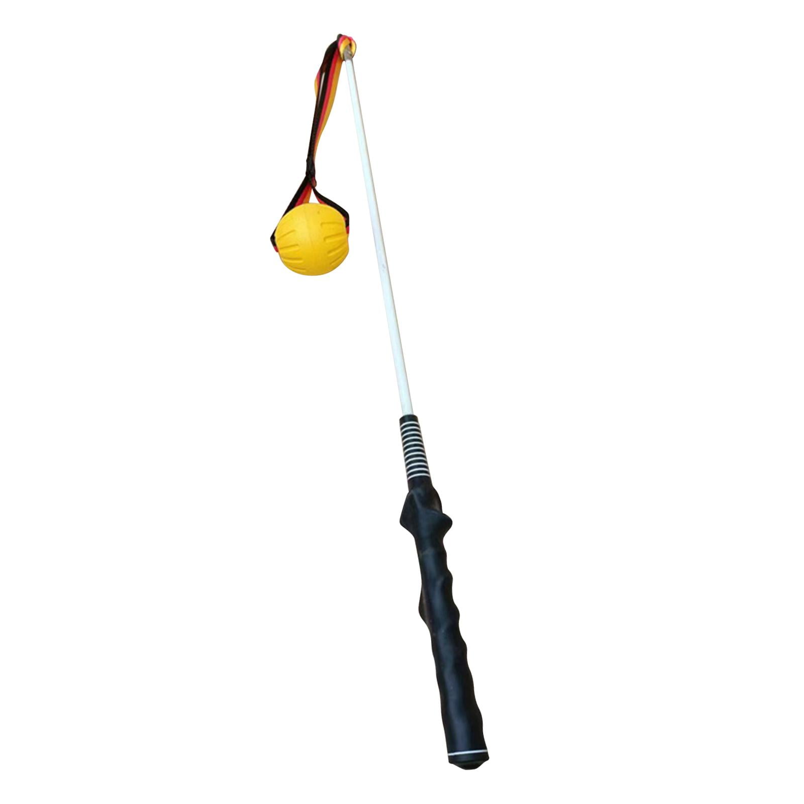 Bvdfgk Flirt Pole for Dogs Dog Teaser Pole Interactive Dog Toys Tug of War Rope Toy for 80cm