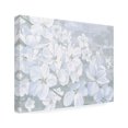 thumbnail image 2 of James Wiens 'Grand Array II' Canvas Art, 2 of 4