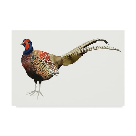 Trademark Fine Art 'Watercolor Pheasant II' Canvas Art by Grace Popp