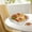 WH WH, variant on Iumwxz Kitchen Gadgets Fruit Tray Living Room Household High Value Tea Table Fruit Tray Style High Grade Snacks Candy Tray Dried Fruit Tray Kitchen Utensil Set Ye Plastic Holiday Gift Finder