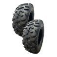 thumbnail image 1 of Paq 2 Llanta 25X10-12-6C AUSHINE DAV110 TL ATV, 1 of 2