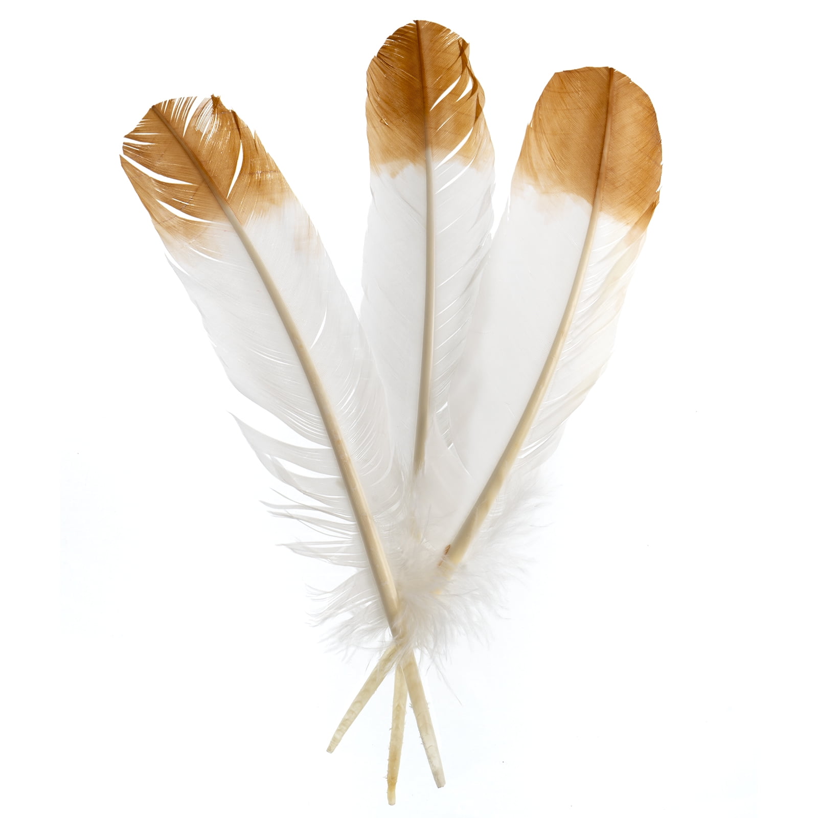 Imitation Eagle Feather 12in White & Brown (3 Header, 18pcs)