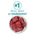 thumbnail image 6 of Purina ONE, Natural Grain Free Beef, Wet Cat Food Pate, 3 oz Cans, 24 Pack, 6 of 11