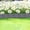 🔥 Gray, variant on Sentmoon Garden Fencing Fence Panels Plastic Garden Fence Lawns Border Tree Ring Barrier for Landscaping Outdoor Yard Decorative Edged Grass Stones Separation Fence Panel