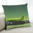 thumbnail image 1 of Ahgly Company Insects worm Indoor Throw Pillow, 18 inch by 18 inch, 1 of 6