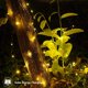 thumbnail image 4 of Guirnalda de Luces LED, 10m 100 LEDs Guirnalda de Guinguette Solar Exterior Impermeable 8 Modos Luz de Decoración para Jardín, Terraza, Patio, Hogar, Navidad, Boda, Fiesta, Blanco Cálido,, 4 of 5