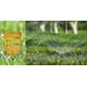 thumbnail image 4 of 10 Pack 1.5" Rain Gauge/sprinkler Gauge, Wide Mouth, Bright Yellow Outdoor Water Measuring Tool, 4 of 5