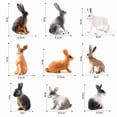 thumbnail image 2 of Juego de figuras realistas de conejo de PVC, modelos de conejos salvajes, 9 unidades, 2 of 2