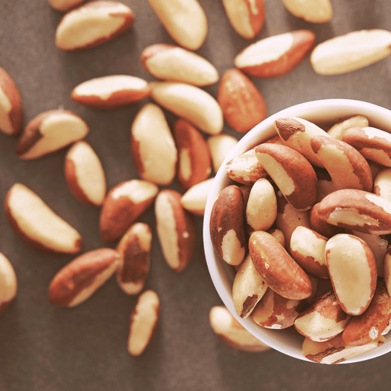 Brazil Nut Pieces —