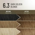 thumbnail image 3 of Il Salone Milano Plex Rebuilder Permanent Hair Color Kit - 6.3 Dark Golden Blonde, 3 of 11