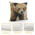 thumbnail image 4 of ONETECH Vintage Animal Throw Pillow Covers Wild Animals Black Bear  Square Decorative Cushion Covers, 4 of 5