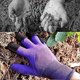 thumbnail image 3 of 2 Pairs Waterproof Gardening Gloves with Claws - for Digging and Planting for Men and Women, 3 of 4