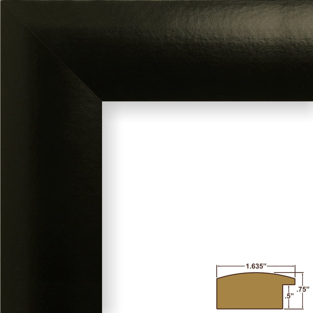 Craig Frames Contemporary Wide, 18x24 inch Picture Frame, Gallery Black