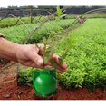 thumbnail image 4 of Équipement de Reproduction Sexuelle Boîte d'Enracinement des Plantes ABS Réutilisable Réutilisable 6 Pcs Variétés de Jardin Vert, 4 of 5