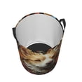 thumbnail image 2 of KLL Vintage Colorful Flower Puppy Waterproof Foldable Laundry Hamper Bucket with Handles for Storage Bin,Kids Room,Home Organizer (Medium ), 2 of 7