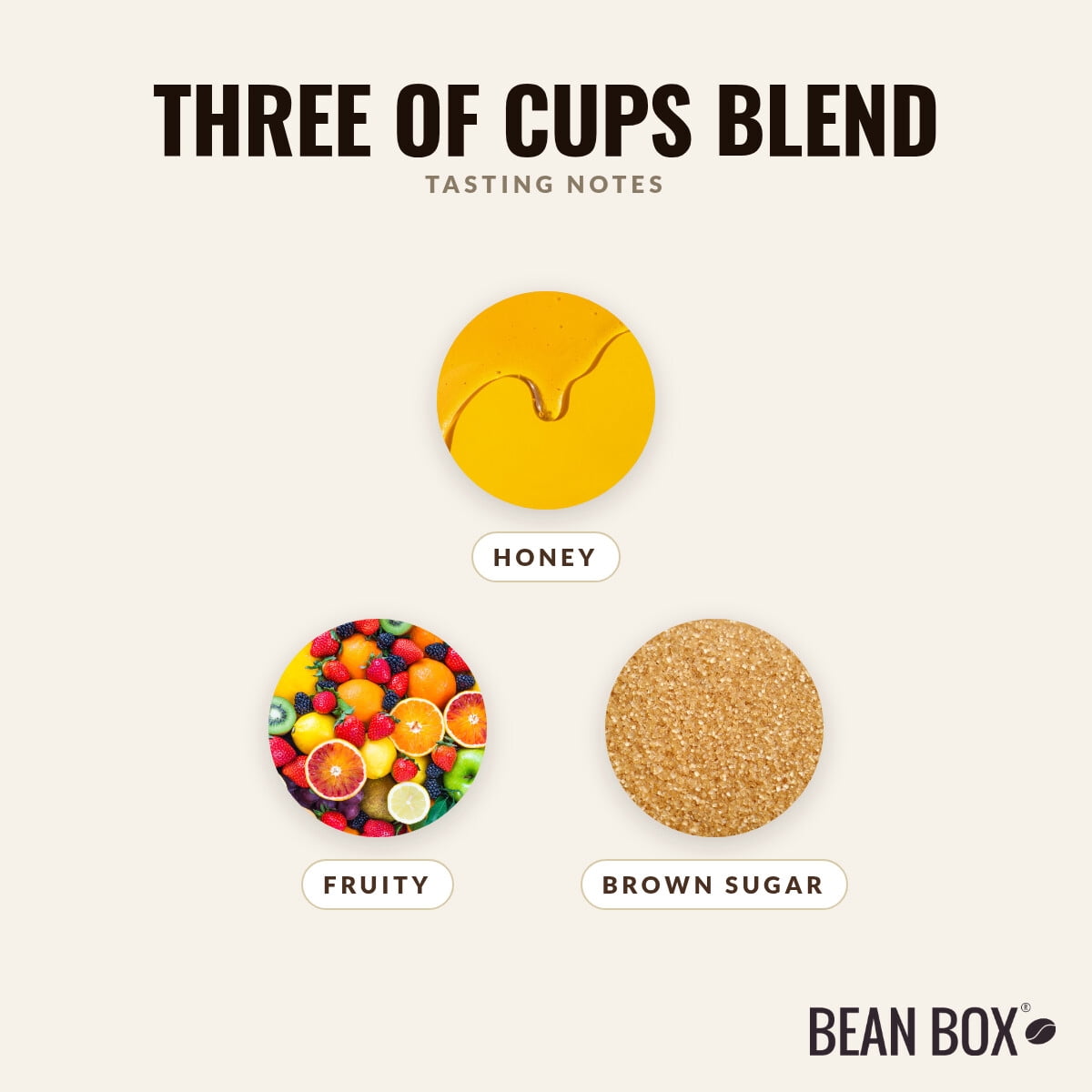 Three of Cups Blend - Roasted by Pavement Coffeehouse - Freshly Ground Coffee - 2lb Bag
