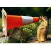 Avanti Press Prairie Dog Yelling Into Construction Cone Funny / Humorous Congratulations Card