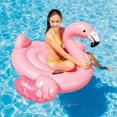 thumbnail image 3 of Flamant Rose Chaise Longue Gonflable pour Natation Intex 57558, 3 of 4