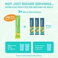 thumbnail image 6 of Venture Pal Sugar Free Electrolytes Powder Packets - Daily Hydration Packets | 5 Vitamins & 7 Electrolytes | Certified Vegan, Keto, Non-GMO | 16 Sticks, 6 of 6